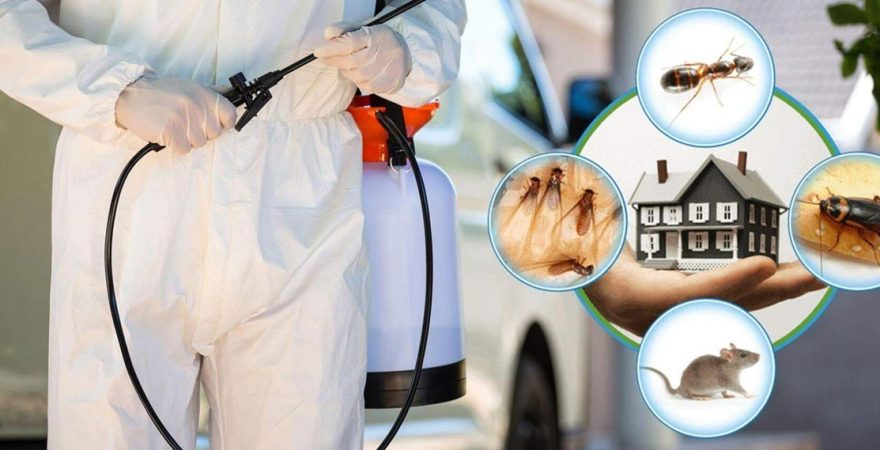 Yeniçamlık Böcek İlaçlama