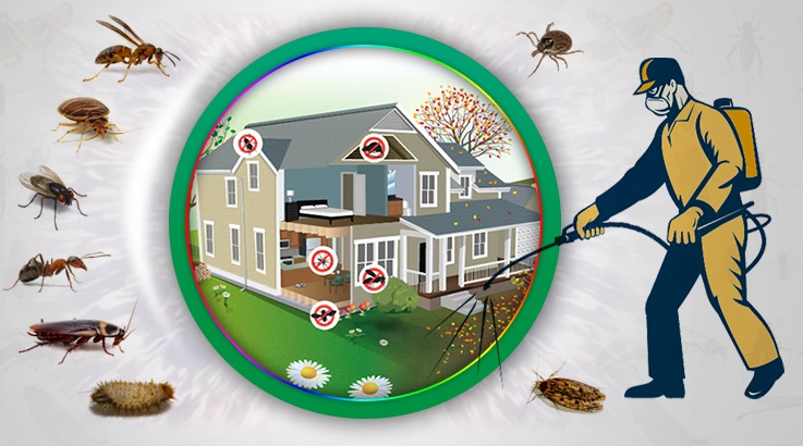 Yeniçamlık Böcek İlaçlama