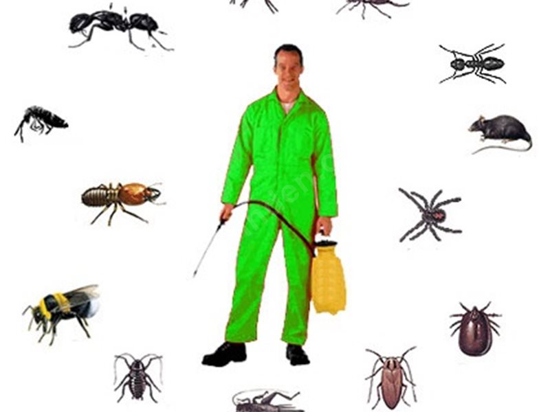 Yeniçamlık Böcek İlaçlama